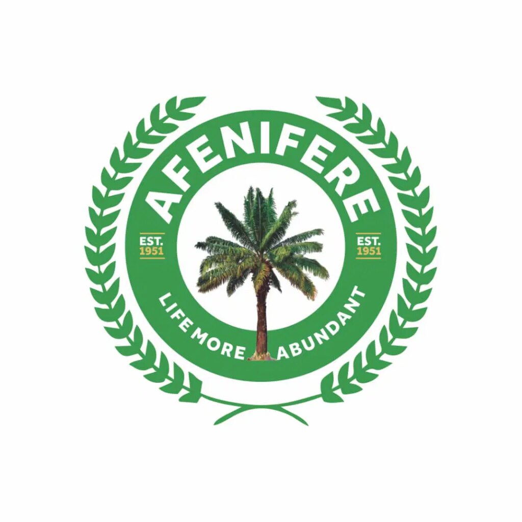 Insecurity: Afenifere commends Police, Abiodun, Sanwo-Olu, over ‘Operation Kosaye’