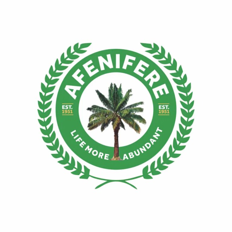 Insecurity: Afenifere commends Police, Abiodun, Sanwo-Olu, over ‘Operation Kosaye’