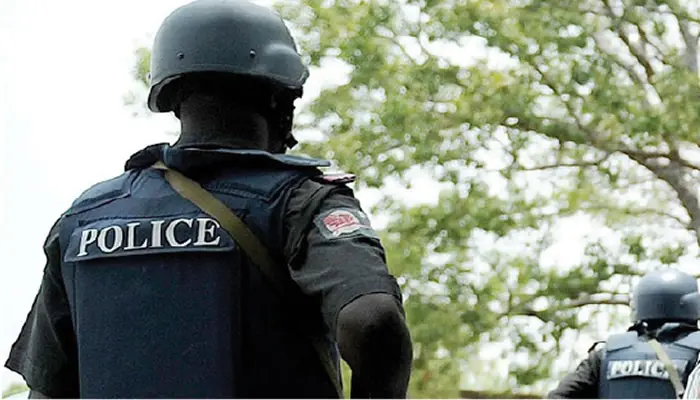 State Police not magic solution to insecurity —  Security analyst, Ex-JTF Commander