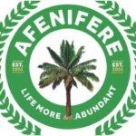 Afenifere commends Abiodun, Sanwo-Olu, IGP, CPs over anti-terrorism effort