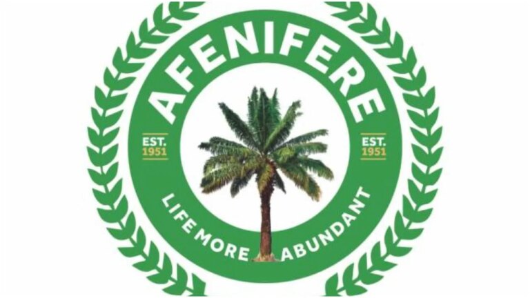 Afenifere commends Abiodun, Sanwo-Olu, IGP, CPs over anti-terrorism effort