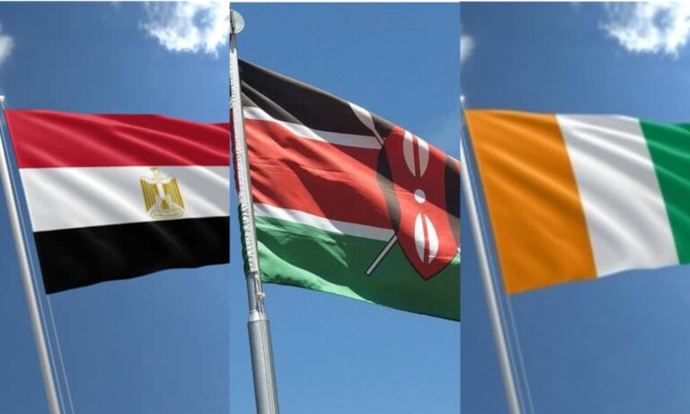 Five African countries among highest IMF borrowers