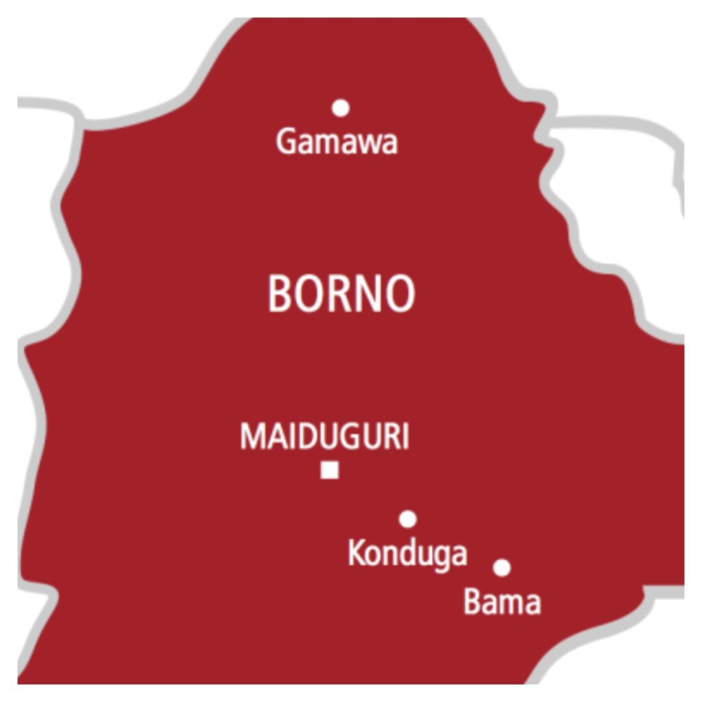 ISWAP fighter’s wife, infant surrender to troops in Borno