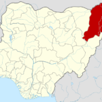 Borno School Attack: Councillor says 35 students still missing