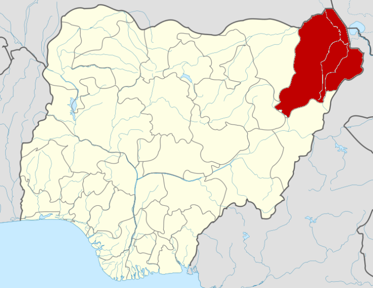 Borno School Attack: Councillor says 35 students still missing