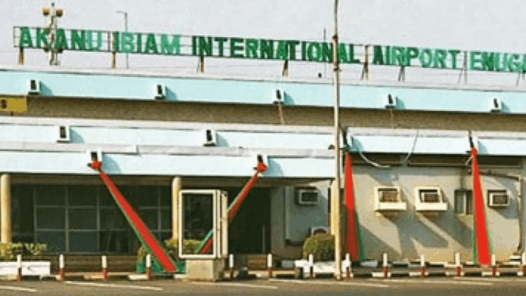 Igbo Leaders of Thought rejects handover of Enugu airport to private company