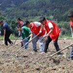 In foreigners’ eyes: What galvanizes young people in a changing China
