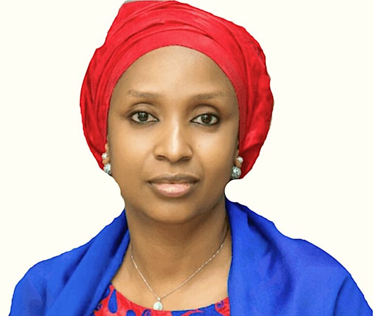 Why policy writers are critical to nation building, By Hadiza Bala Usman