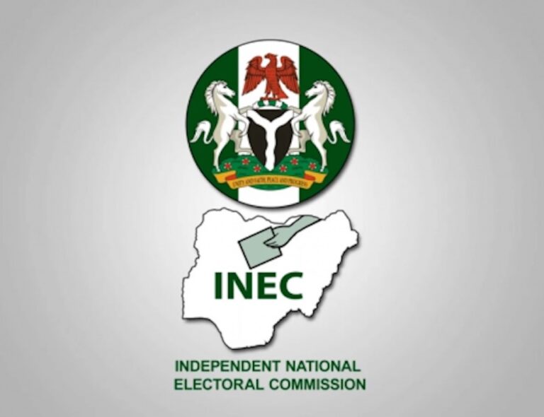 Court issues INEC ultimatum to release ADA registration access code
