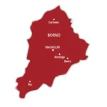 Boko Haram abducts students writing NECO at Borno school