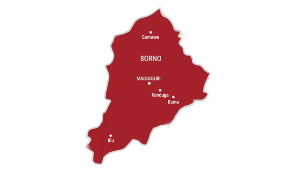 Boko Haram abducts students writing NECO at Borno school
