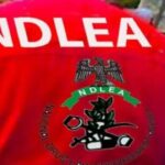 NDLEA destroys 12.2 tonnes of illicit drugs in Kano