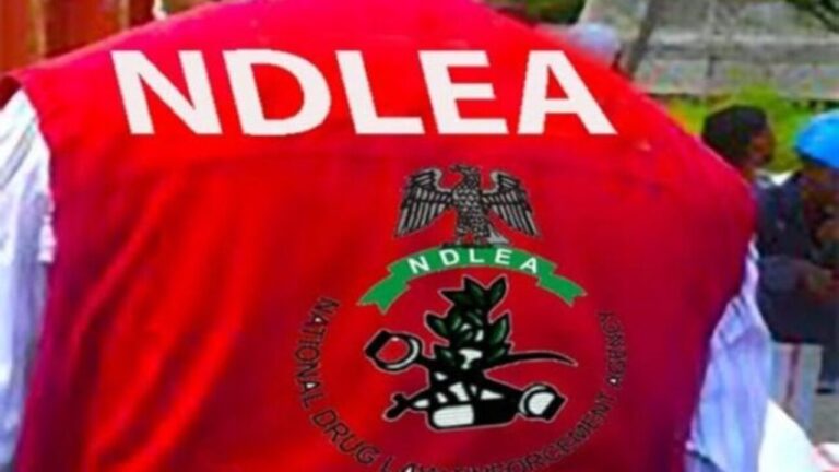 NDLEA destroys 12.2 tonnes of illicit drugs in Kano