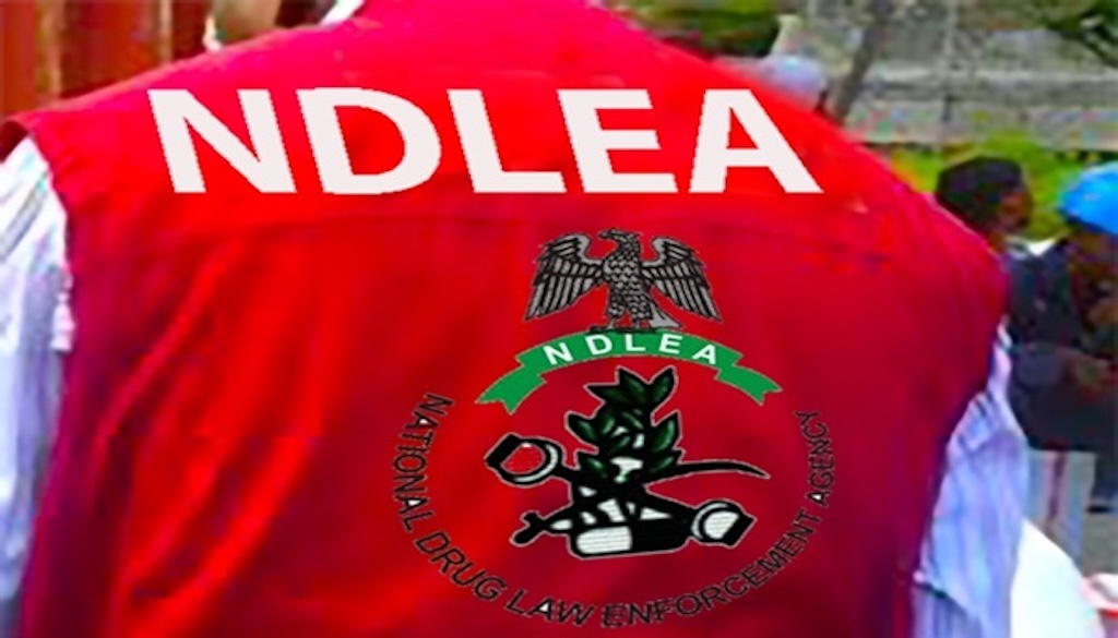 NDLEA seizes 929.5kg illicit drugs, secures 53 convictions in Enugu