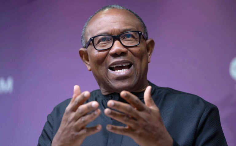 ‘Publish candidates’ academic certificates, credentials’ – Peter Obi tells INEC