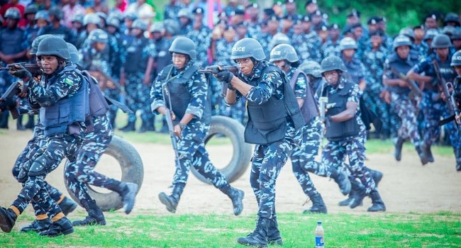 Senate Defends State Police Bill, Says Reform Driven By National Security Needs