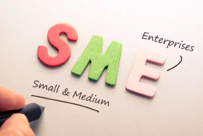 SME growth requires more than capital