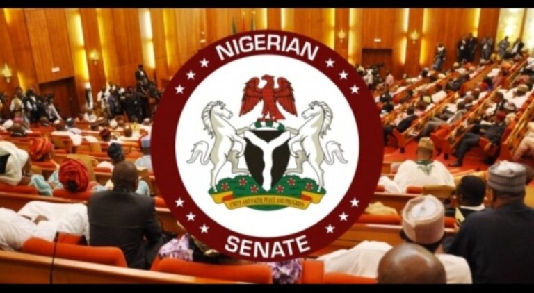 Senate Defends Passage Of State Police Bill
