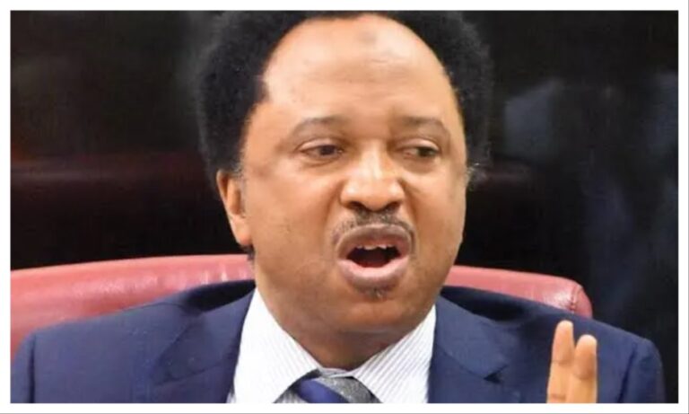 NYSC reform: Shehu Sani kicks against civilian DG, calls for tougher military training