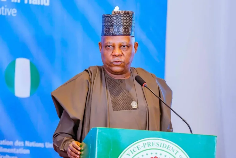 Any govt that ignores employers can’t fully understand economy – Shettima