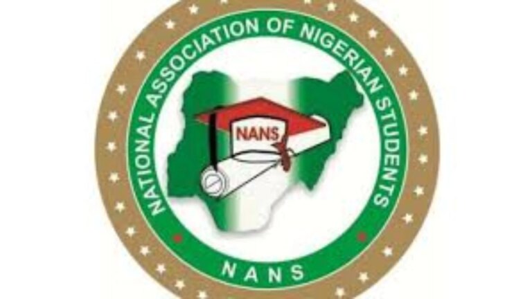 Xenophobia: We’ll shut down all South African businesses in Nigeria – NANS