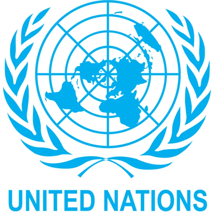 Violence against women declines from 9% to 5% in six years— UN Women