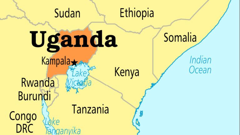 Uganda to evacuate 746 citizens from South Africa over xenophobic violence