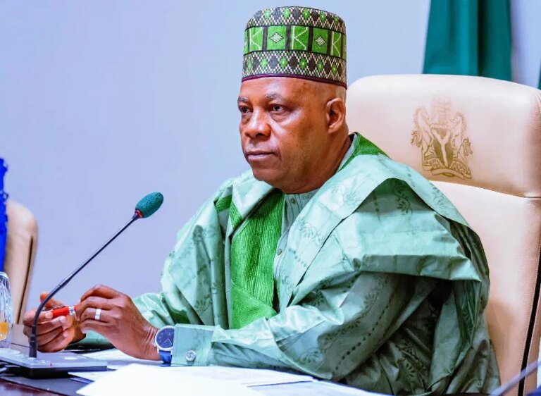 Any government that ignores employers can’t fully understand economy — Shettima