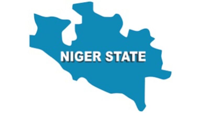 Five die, eight injured in Niger road crash