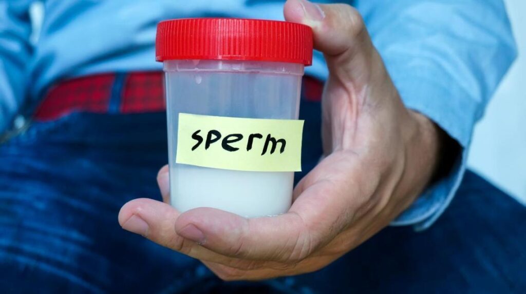 Only one in four men has optimal semen quality, fertility expert says