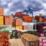 Export rerouting erodes Nigeria’s gains despite N7.55trn trade surplus — NESG