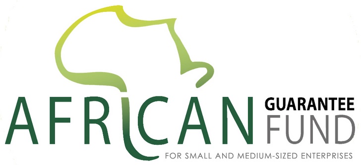 African Guarantee Fund appoints Mr. Constant N’ZI as Group Chief Executive Officer
