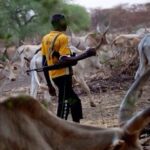 Four arrested over deadly Kebbi farmers-herders clash