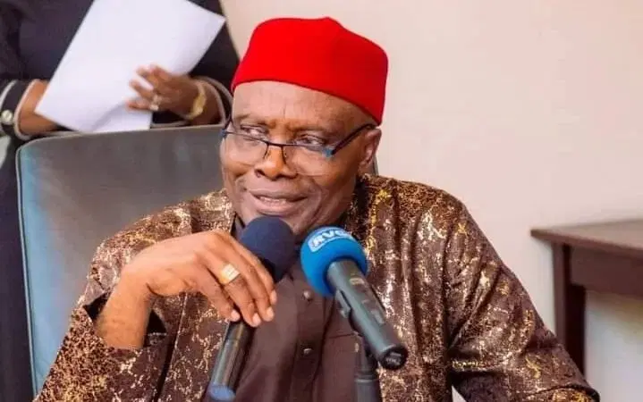 Wabara, Ben Obi mobilise diaspora support for free, fair 2027 polls in US