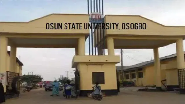 One grabbed my breasts…UNIOSUN female students recount soldiers’ alleged sexual attack