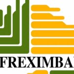 Stop exporting lithium, build EV battery industry in Africa – Afreximbank tells African nations
