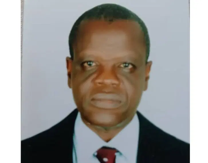 Fake Agency Scandal: What Tinubu Would Have Done If It Were PDP, by Emmanuel Aziken