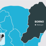 Borno school attack: 37 children still missing — Parents
