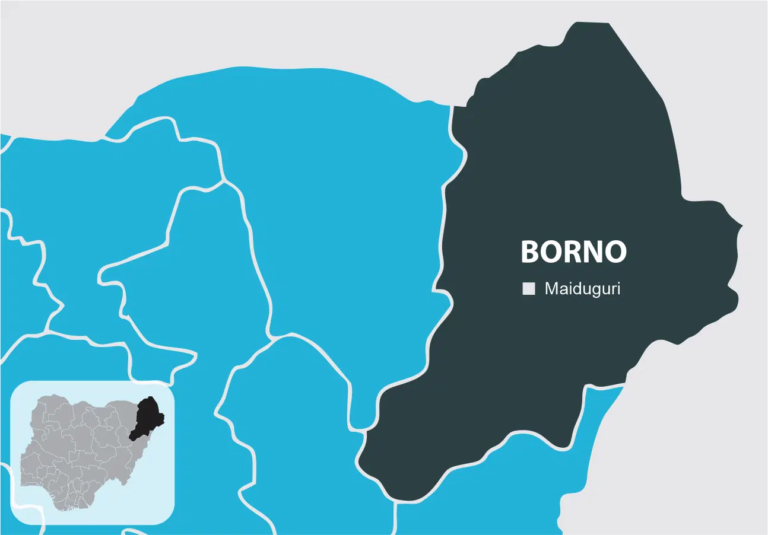 Borno school attack: 37 children still missing — Parents