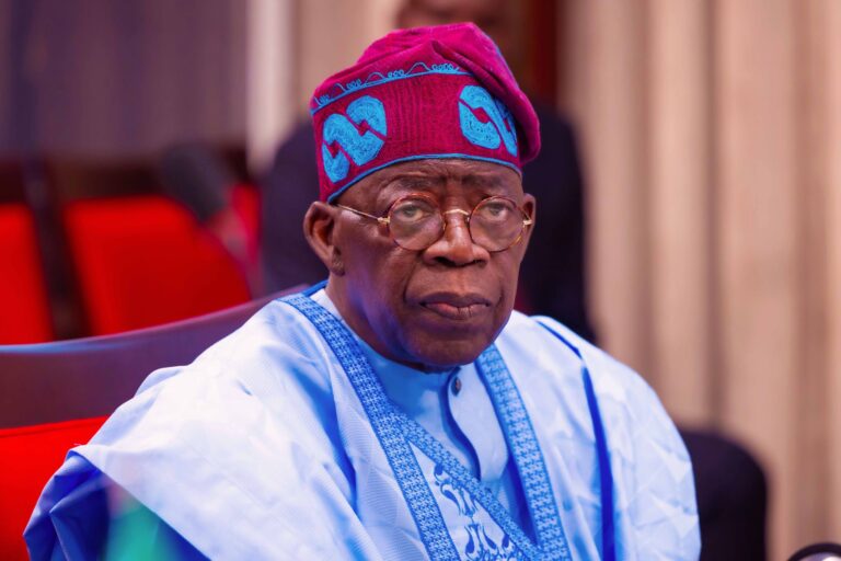We came to work for Nigeria, not to occupy space – Tinubu boasts