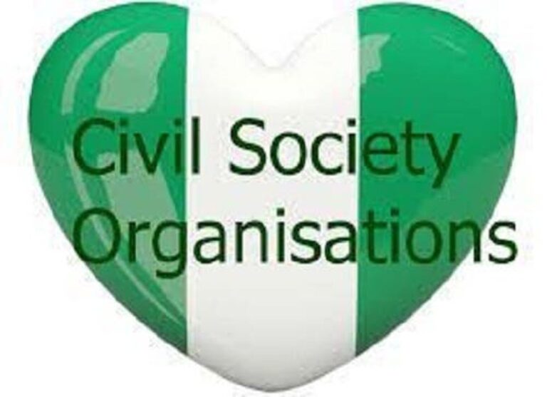 Presidential Foreign Intervention Promotion Council lack legal foundation – CSO