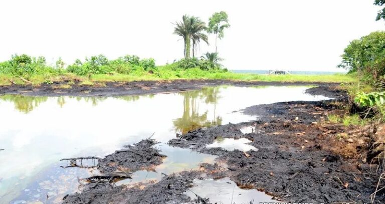 FG to address gas contamination in Niger Delta community