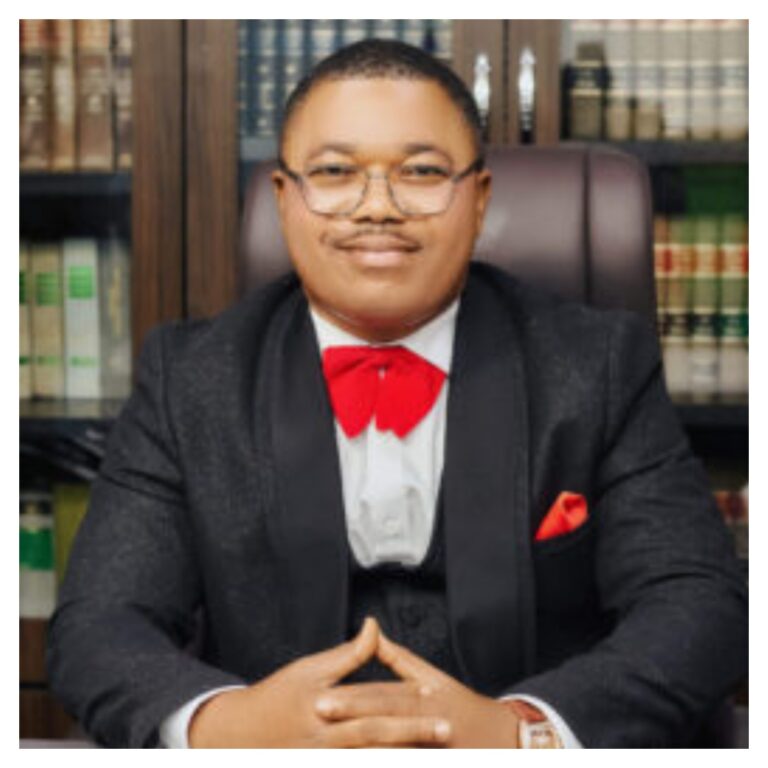 You must protect Nigerians in South Africa – Rights lawyer, Ejiofor challenges FG 