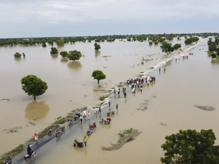 Torrential rainfall:Flood fears mount in states ahead of peak season