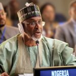 Nigerian gov’t launches e-cooking initiative to accelerate clean energy transition