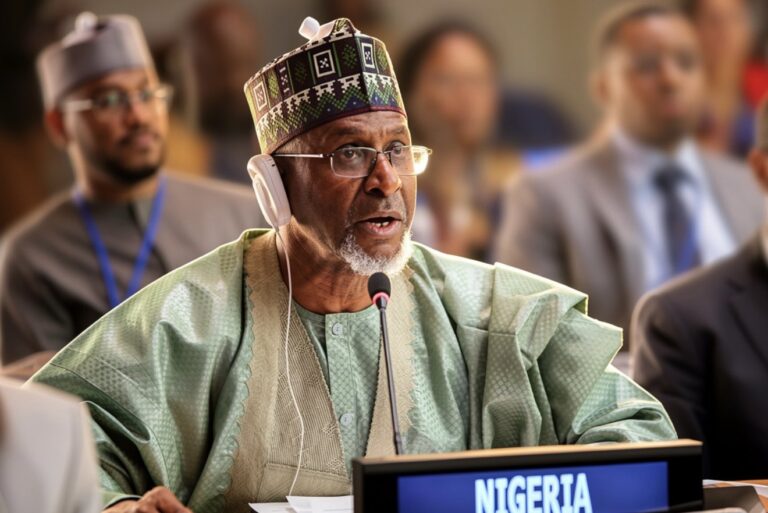 Nigerian gov’t launches e-cooking initiative to accelerate clean energy transition