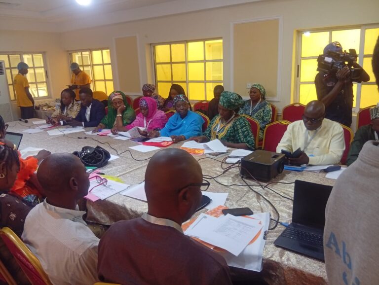 FG, north central states push reforms on women’s finance, child protection
