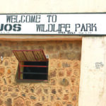 Night grazing, vandalism trigger security clampdown at Jos Wildlife Park