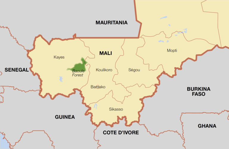 Insurgents stage attacks across Mali, army says situation under control