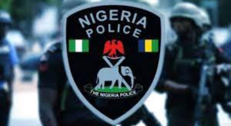 Police Confirm 18 Killed in Niger Land Dispute